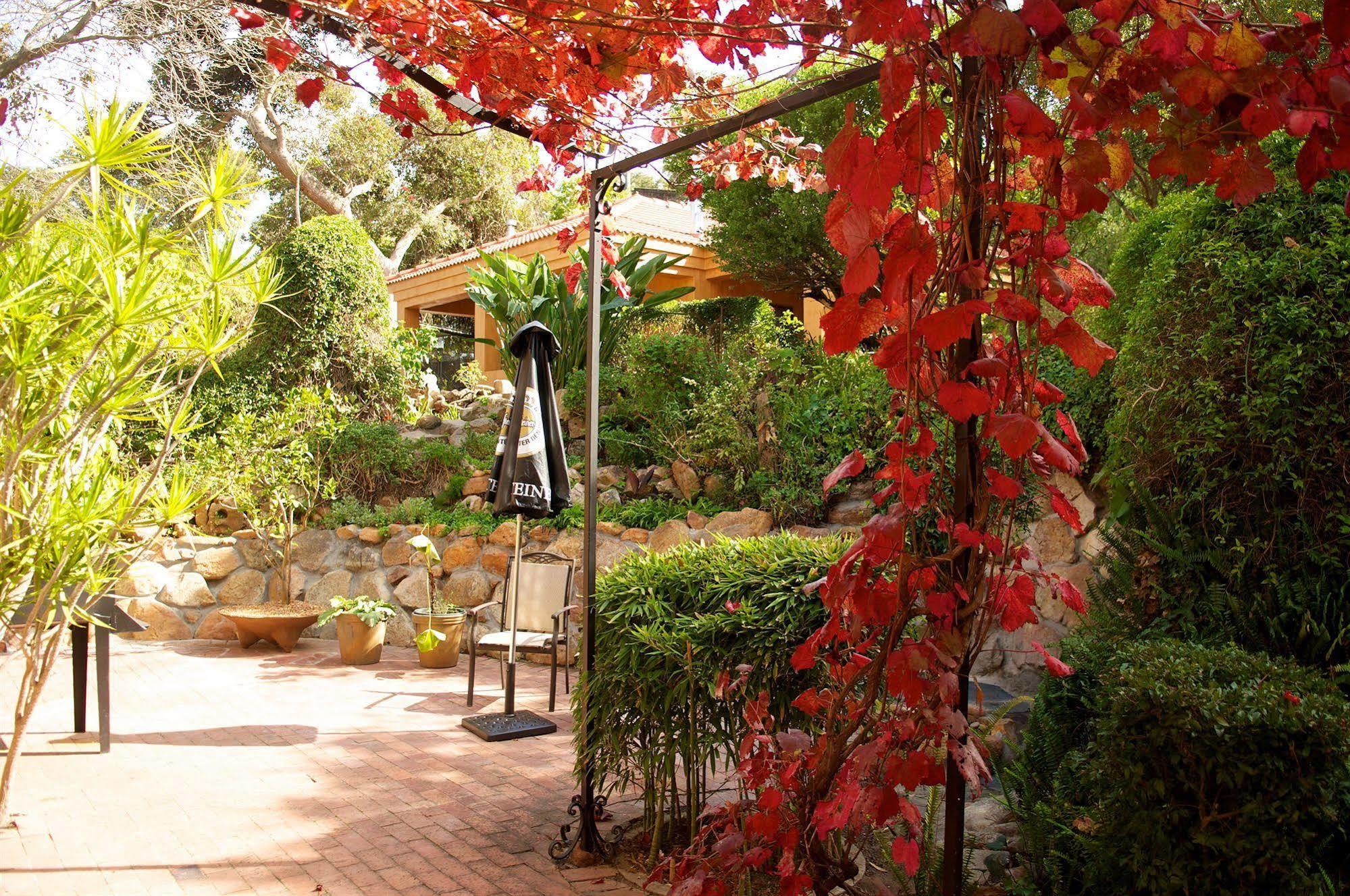 Cap Serein Guest House Cape Town Exterior foto